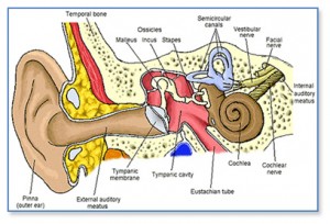 Understanding Tinnitus